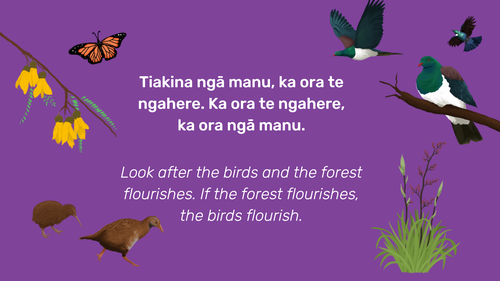 Whakataukī about Manu and Rākau